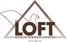 The Loft - World Pigeon Center