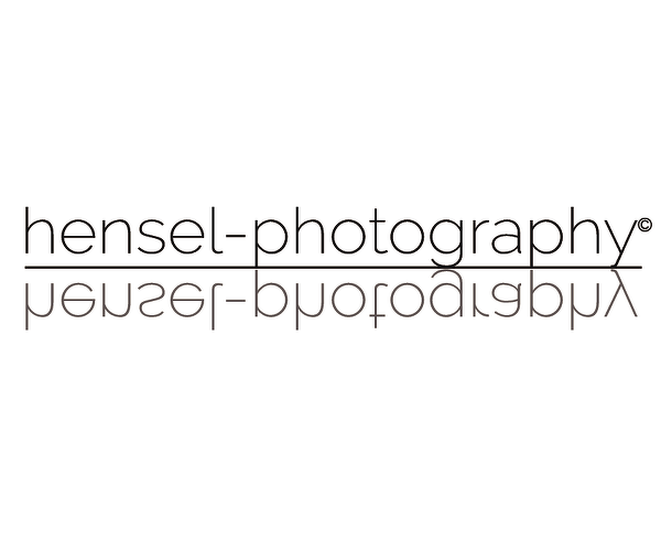 hensel photography