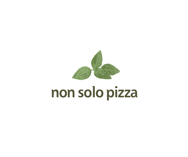 NON SOLO PIZZA