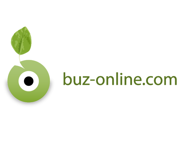 Buzz Online SL