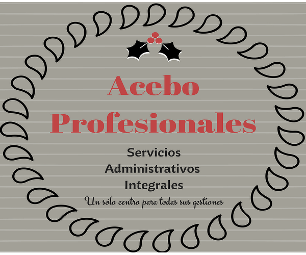 Asesores Acebo Profesionales