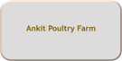 Ankit Poultry Farm
