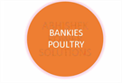 Bankies Poultry