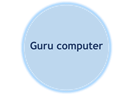 Guru computer