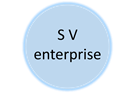 S v enterprise