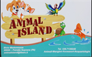 Animal island