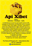 API  Xibet