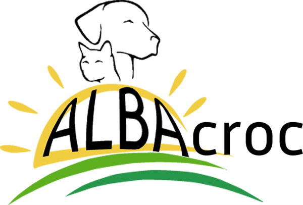 ALBAcroc Store