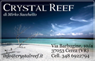 Crystal Reef