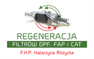 Profesjonalna regeneracja filtrów DPF,FAP iCAT