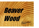 Beaver Wood