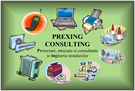 PREXING CONSULTING