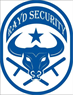 SC RAYD SECURITY SRL