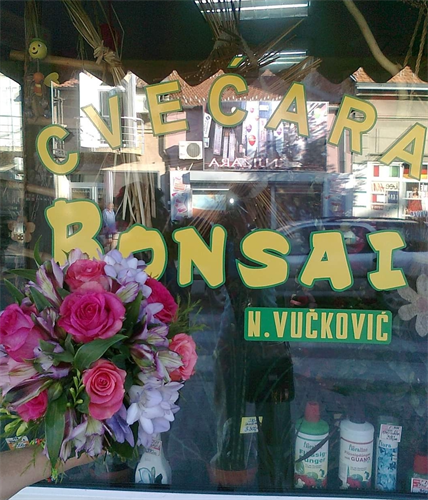 Cvećara BONSAI