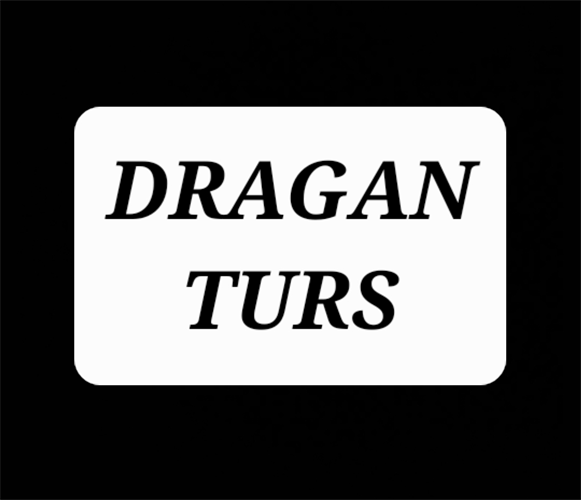 Dragan Turs