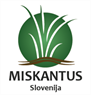 Miskantus Slovenija