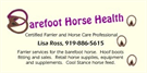 Barefoot Horse Health