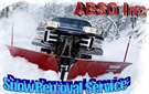 ABSO INC