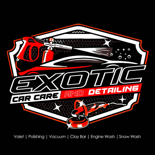 Exotic Car Care and Detailing