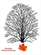 Red Maple General Contracting