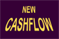 NEW CASH FLOW