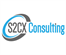 S2CX Consulting