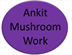 Ankit Mushroom Work