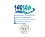 Seesea Deadsea Minerals