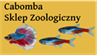 Sklep Zoologiczny Cabomba