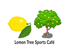Lemon Tree Sports Café